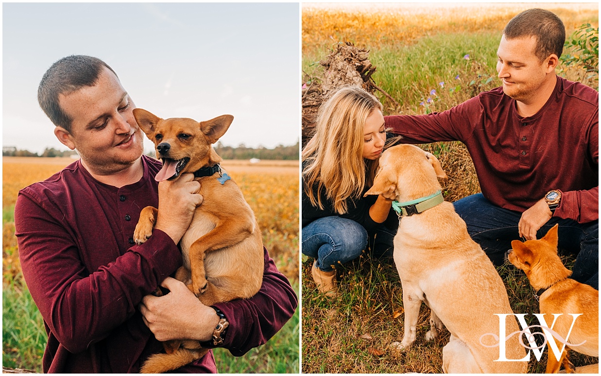 Engaged couple with their dogs in a field in Currituck, NC taken by Laura Walter Photography.