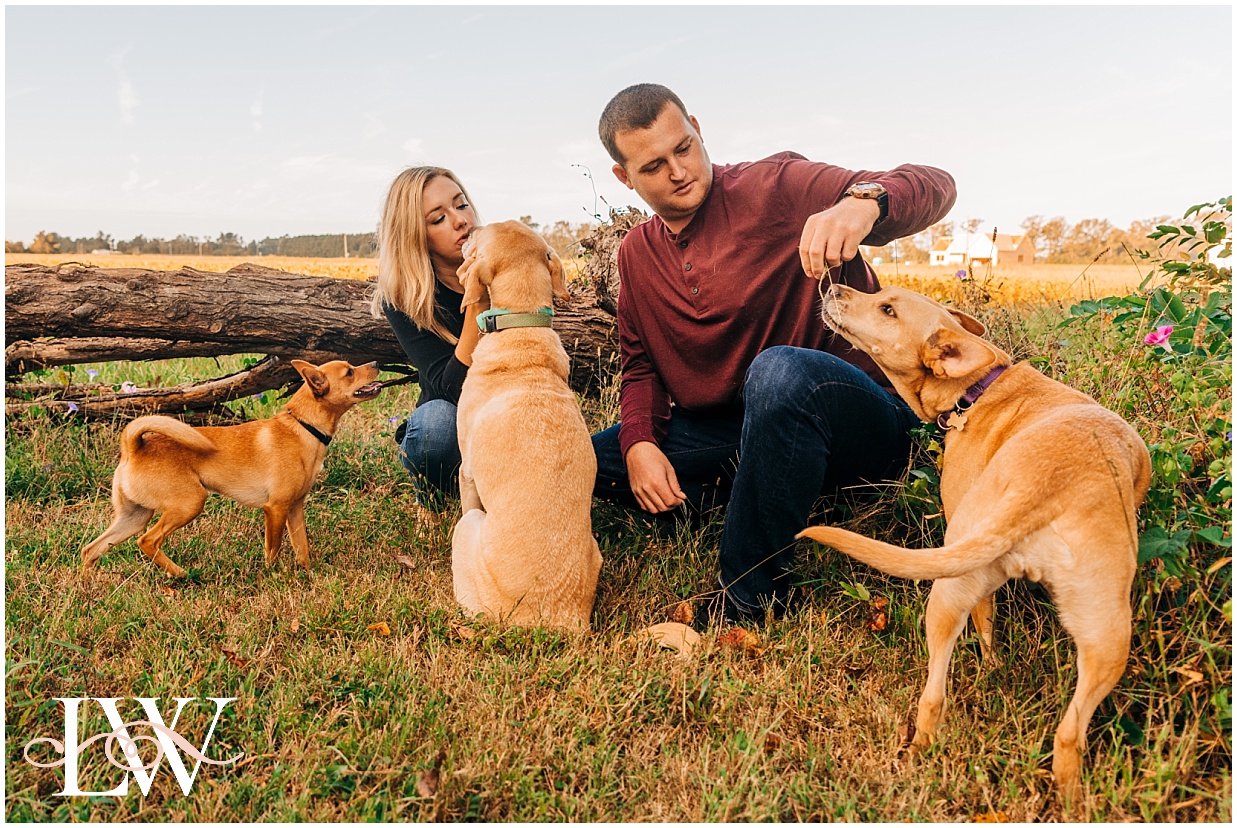 Engaged couple playing with their dogs in a field in Currituck, NC taken by Laura Walter Photography.