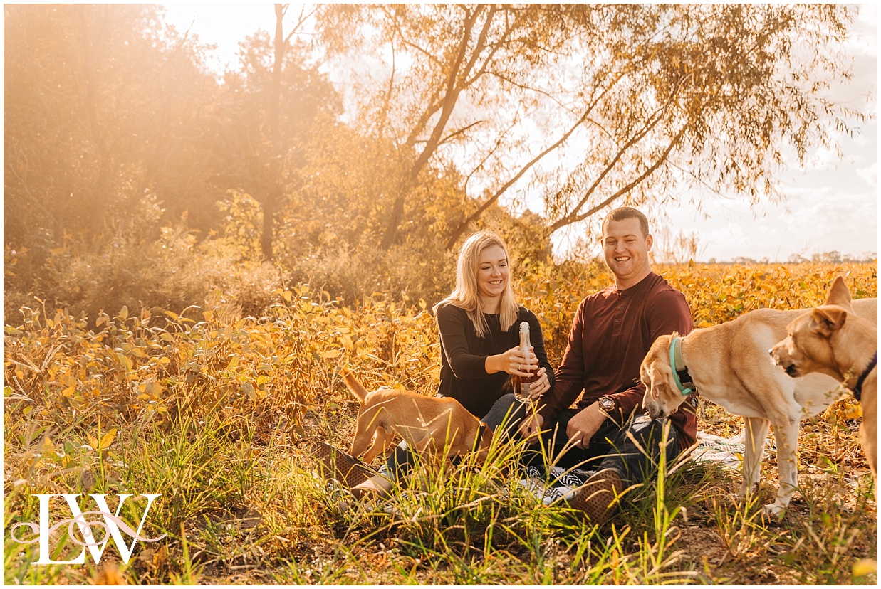 Engaged couple popping champagne with their dogs in a field in Currituck, NC taken by Laura Walter Photography.