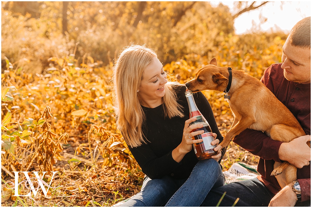 Engaged couple with their dogs licking the champagne in a field in Currituck, NC taken by Laura Walter Photography.